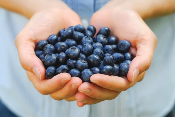 Blueberry power muffins